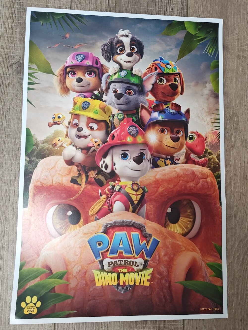 Paw Patrol Dino Movie Poster Dinosaur Head